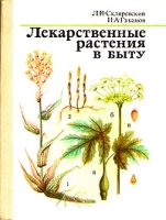 Лекарственные растения в быту артикул 5720d.